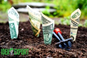 idea-export-investimenti