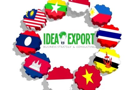 consulenza export