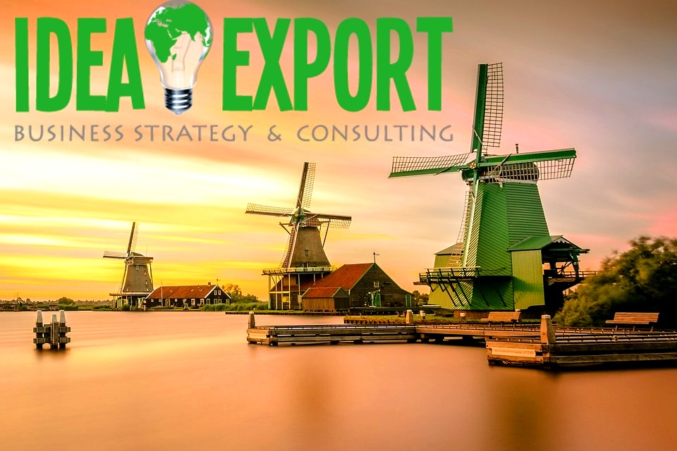 Consulenza export