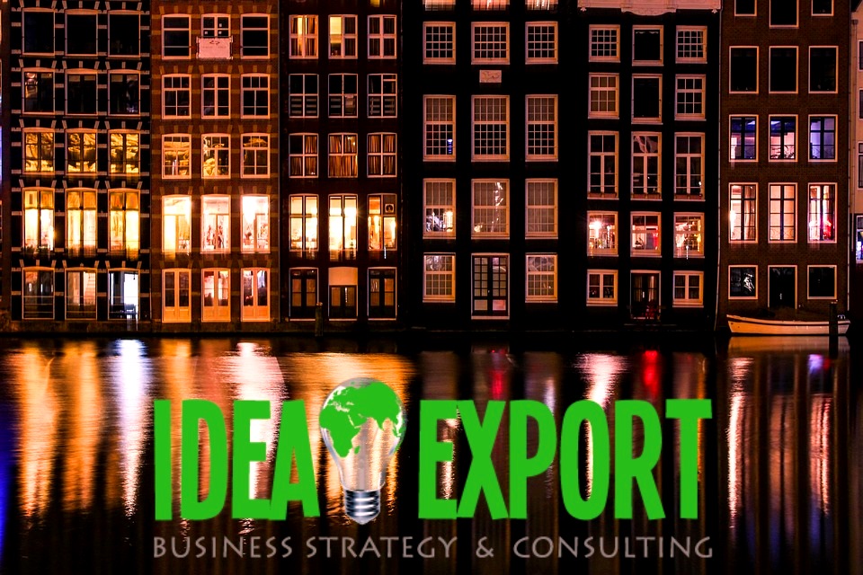 consulenza export