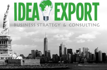 consulenza export