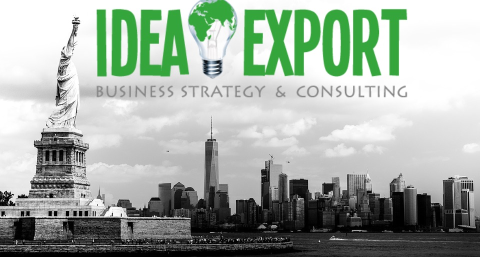 consulenza export