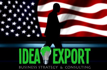 consulenza export