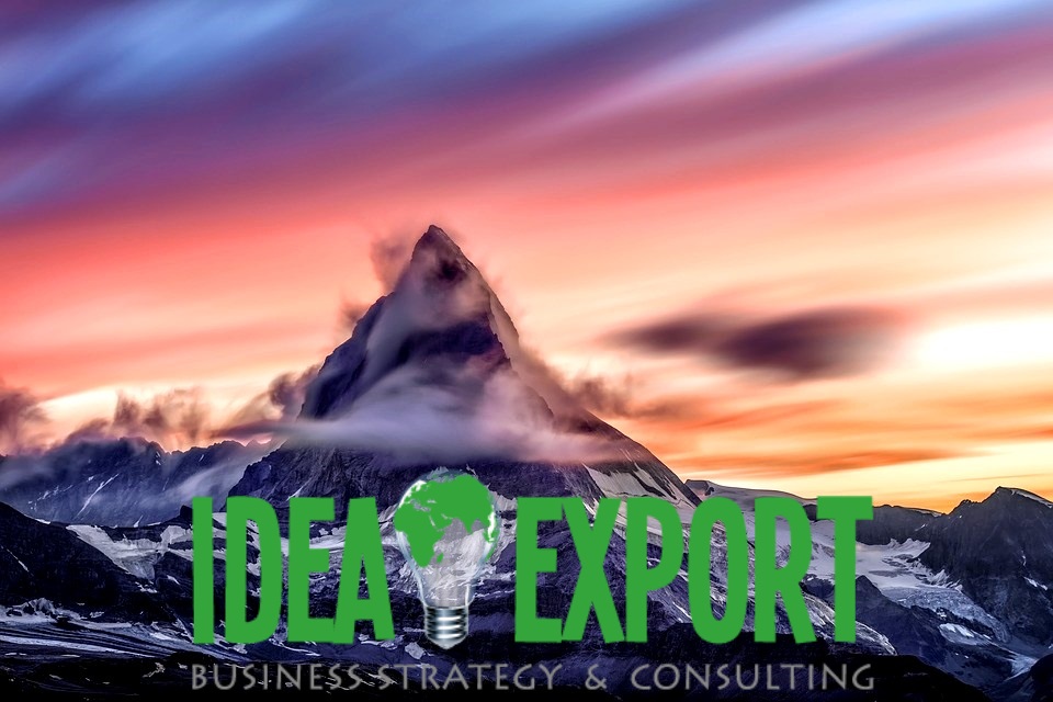 consulenza export