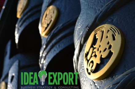 consulenza export